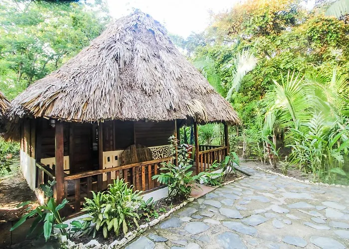 Cohune Palms River Cabanas